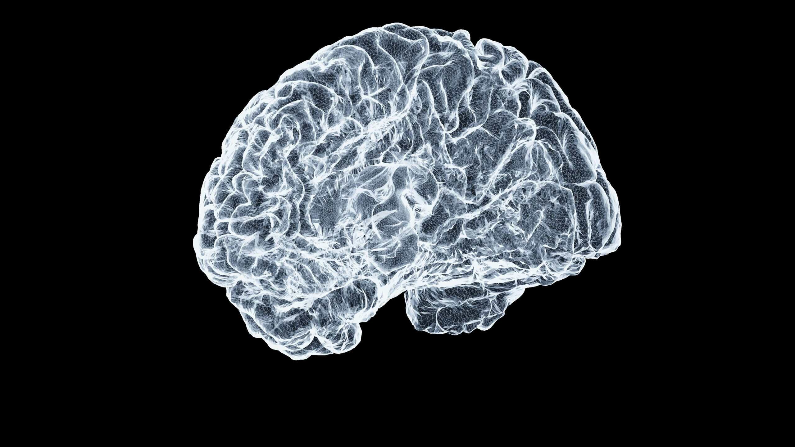 The Human Mind and Brain in the Orgasmic Cycle
