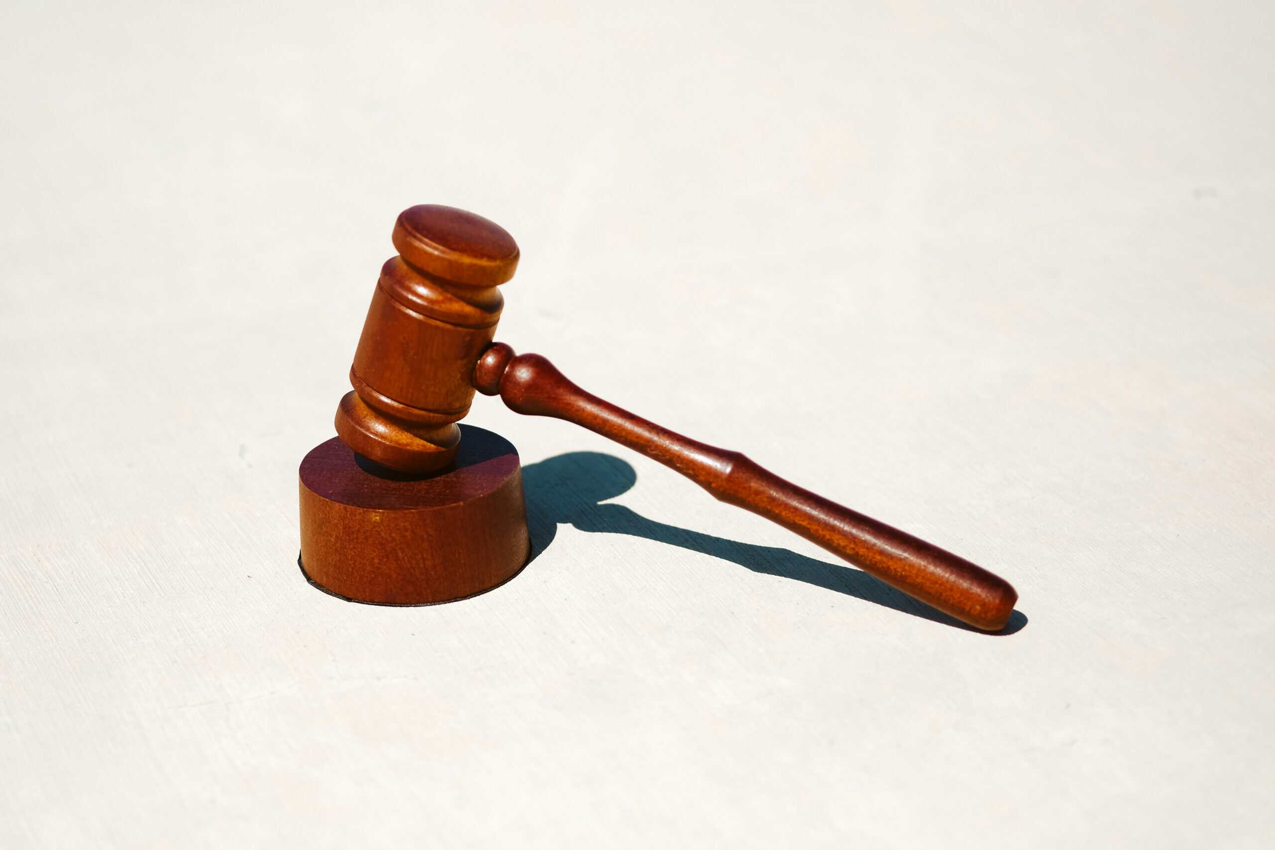 The 2026 Adult Industry Policy Outlook: Navigating New Laws and Digital Boundaries